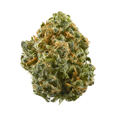 Dumb Gas