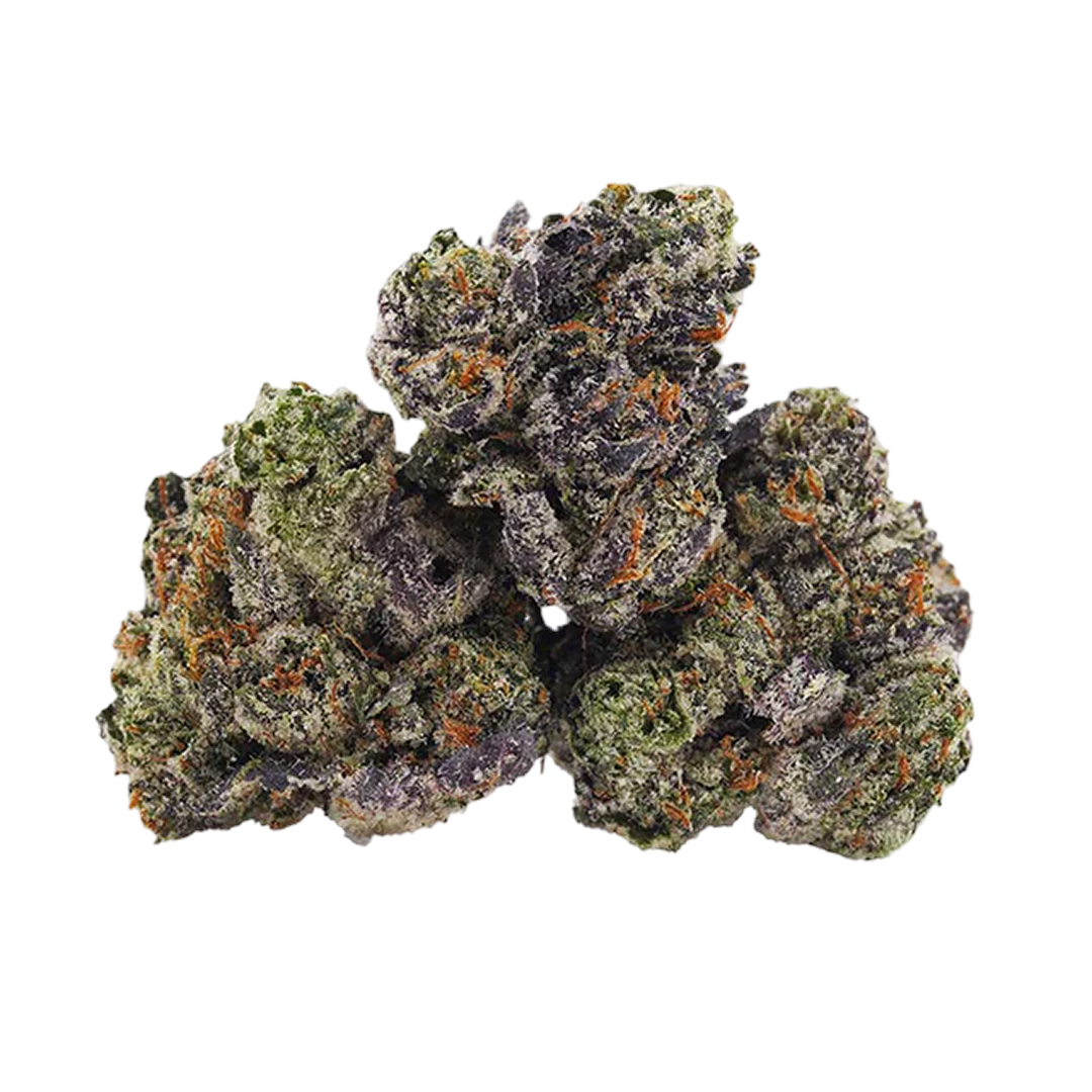 Northern Lights