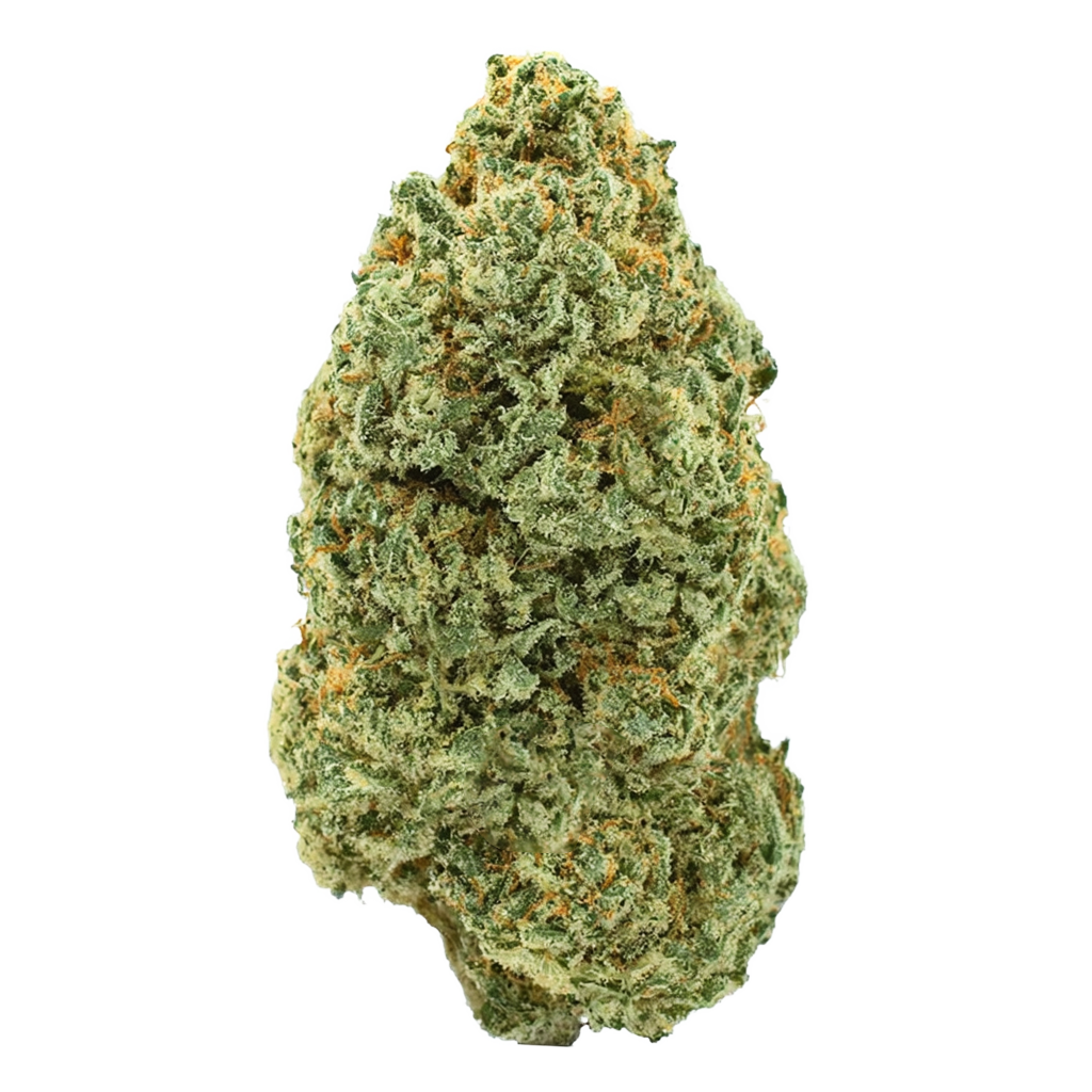 Mendo Purp