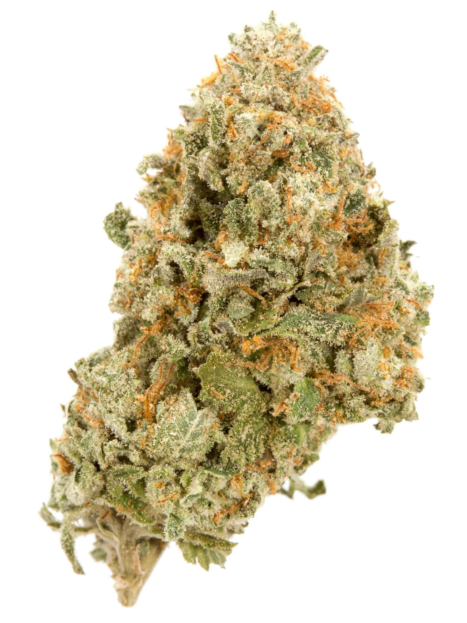 Durban Poison