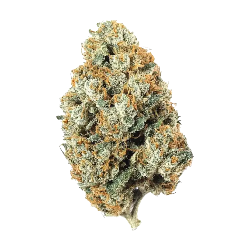 Fruit Punch