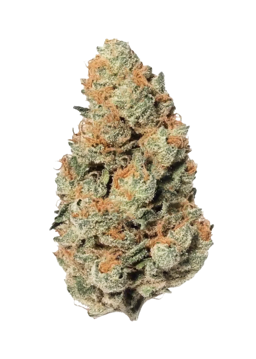 Bubble Bath | Exotic