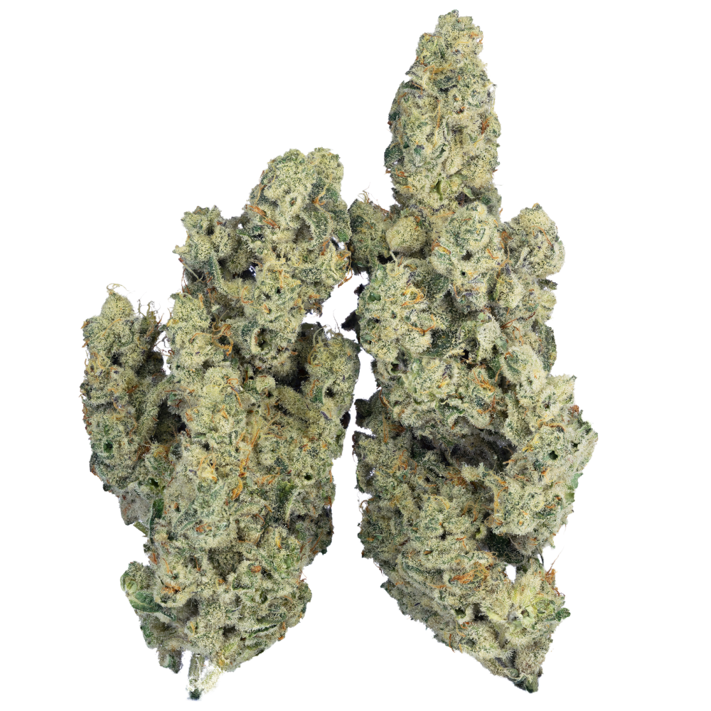 Peanut Butter Apricot | Exotic