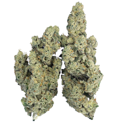 Peanut Butter Apricot | Exotic