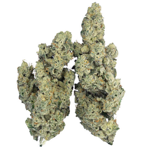 Peanut Butter Apricot | Exotic