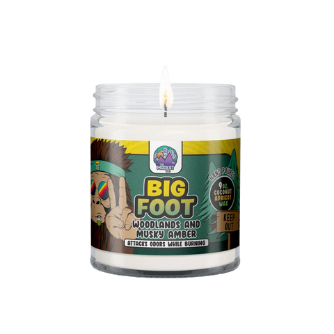 Odor Fighting Candle