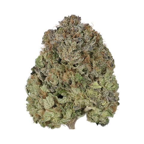 Black Cherry Gelato