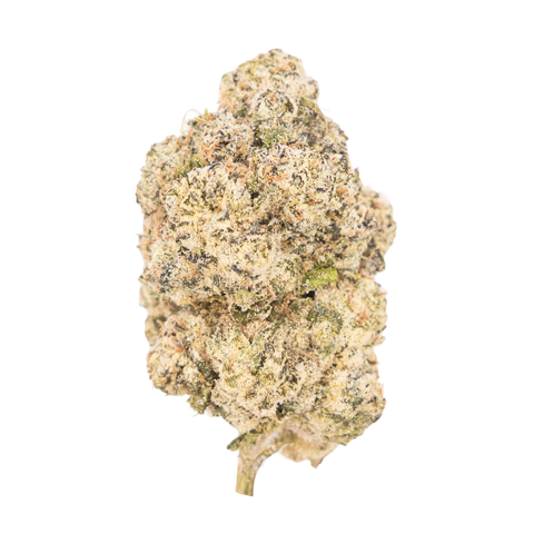 Candy Glue