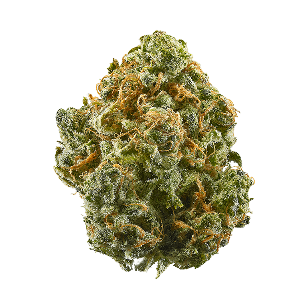 Dumb Gas