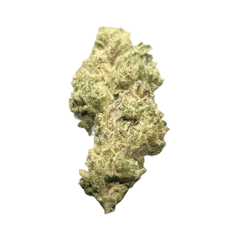 T.I.T.S (This is The Shi)