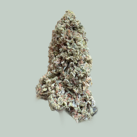 Jack Herer