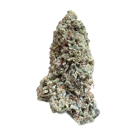 Jack Herer