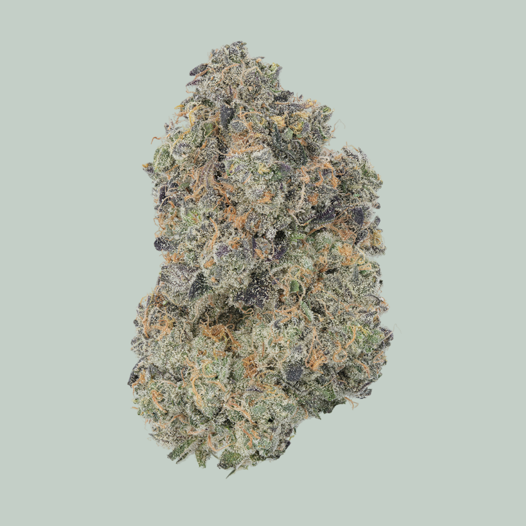 Mango Dream Exotic