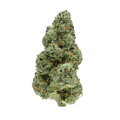 Mule Fuel
