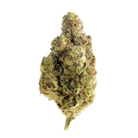 🎁 OG Kush (100% off)