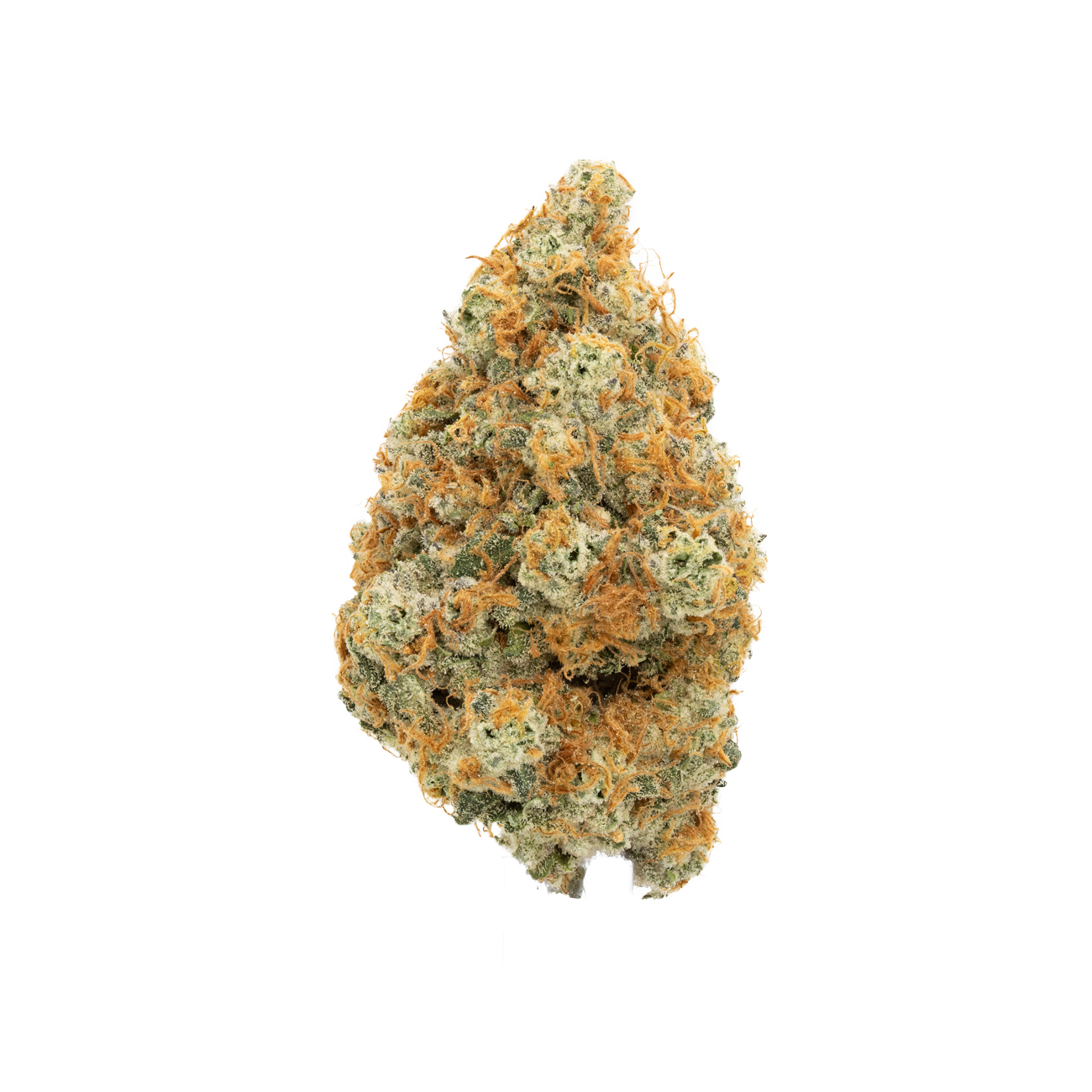 Papaya | Exotic