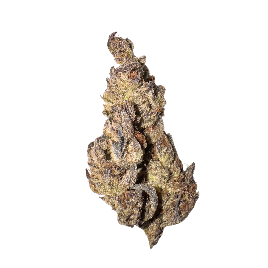 Purple Nerds (LA)
