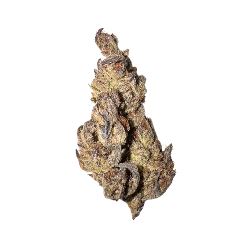 Purple Nerds (LA)