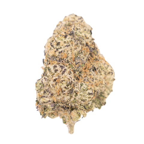 🎁 Rolex Runtz (100% off)