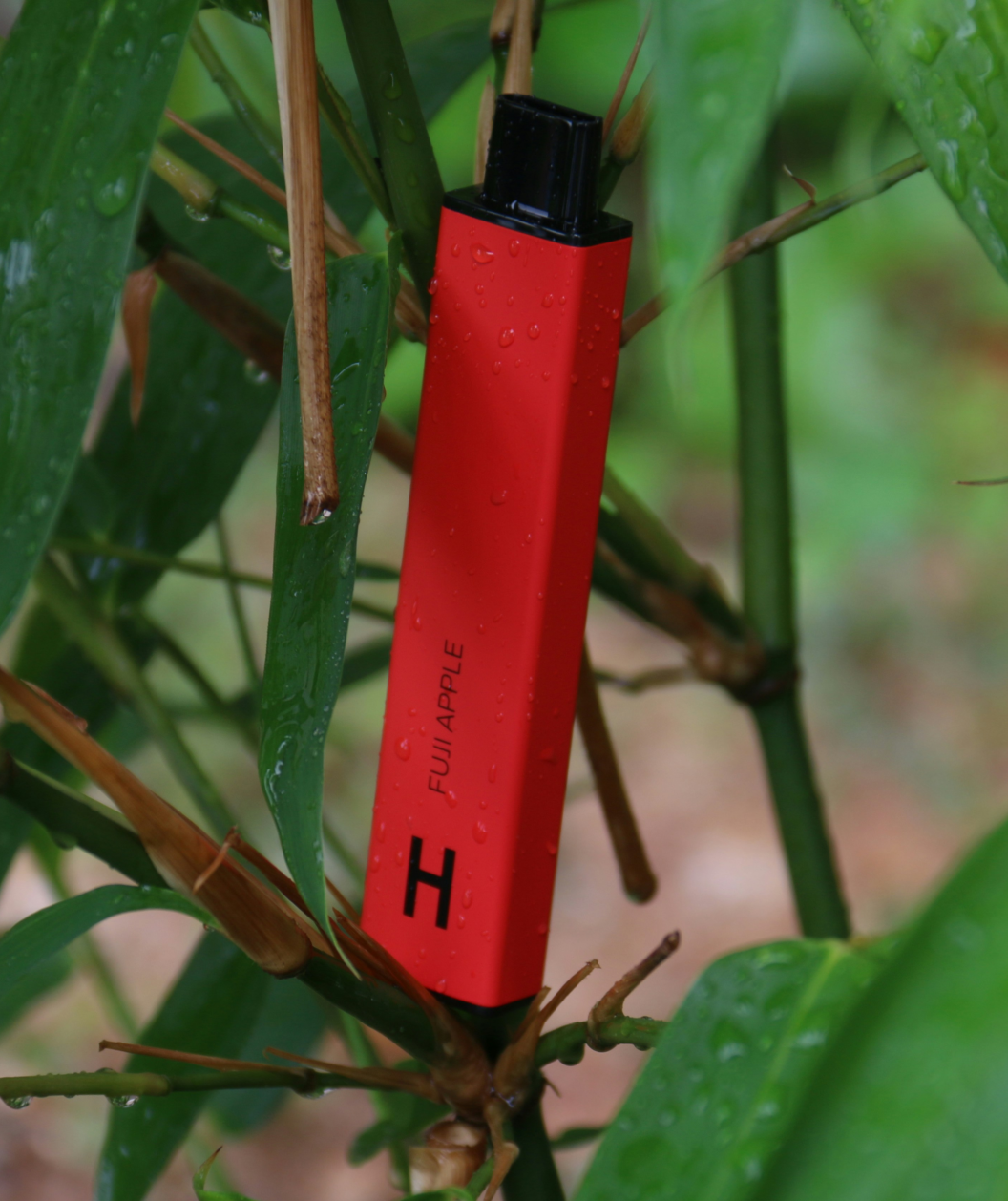 THC Flower Delivery in Austin, TX: Premium Cannabis Brought to Your Do – Black Rock Vape - Store Image