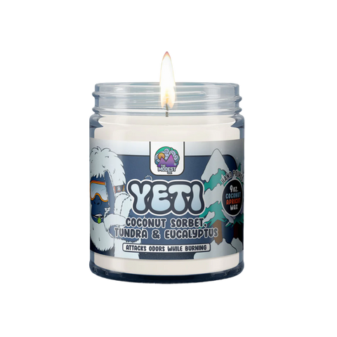 Odor Fighting Candle
