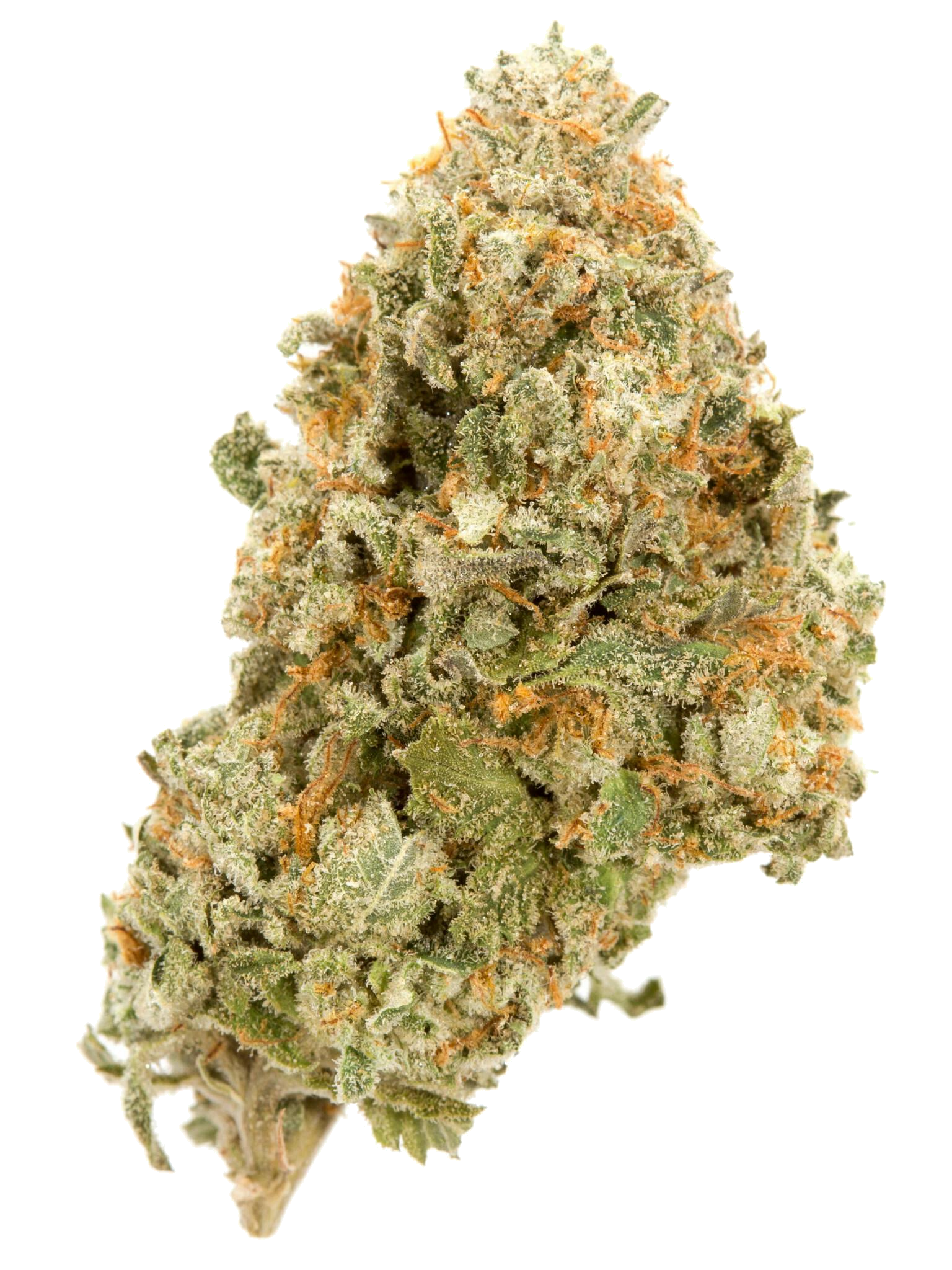 Durban Poison