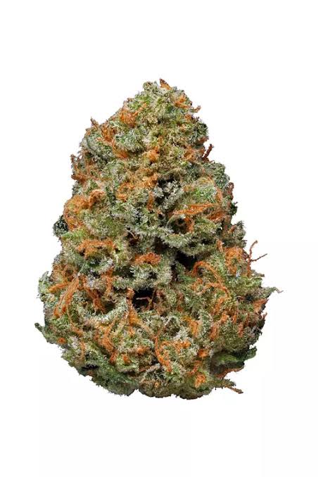 Papaya | Exotic