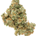 Jack Herer transparent product image