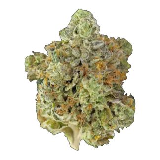 Wedding Cake | Premium