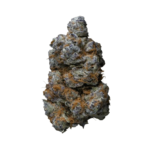 Royal Runtz | Exotic